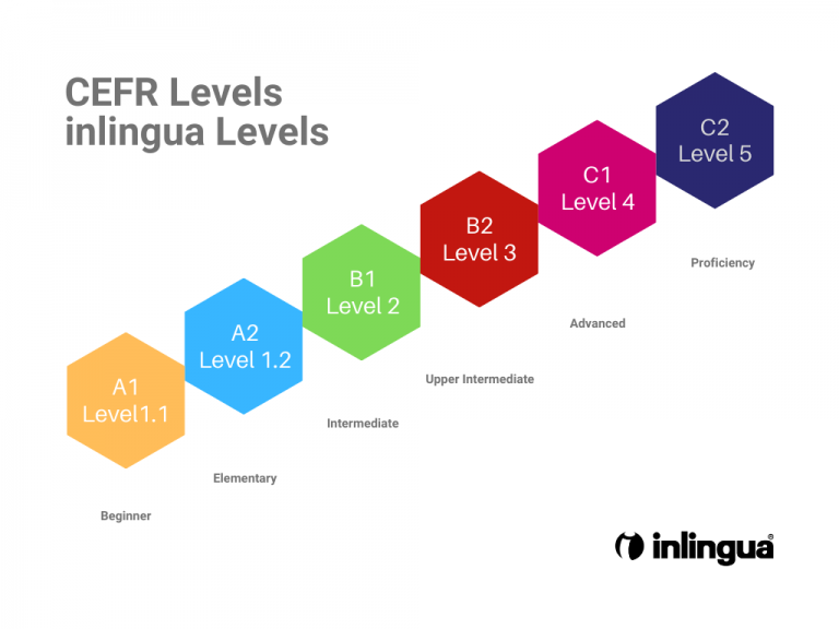levels of language native